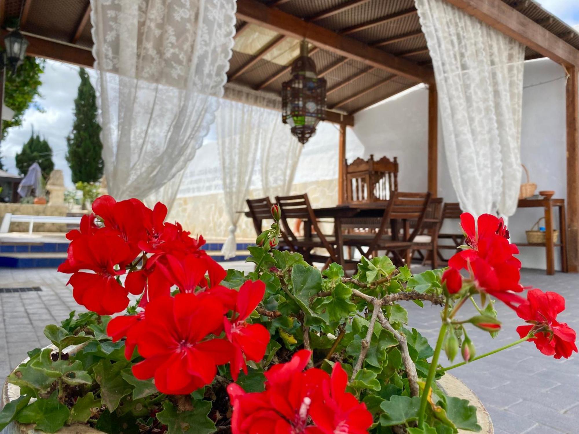Authentic Canary Style Villa With Private Pool And Garden- Casa Juan Vera グラナディージャ・デ・アボナ エクステリア 写真