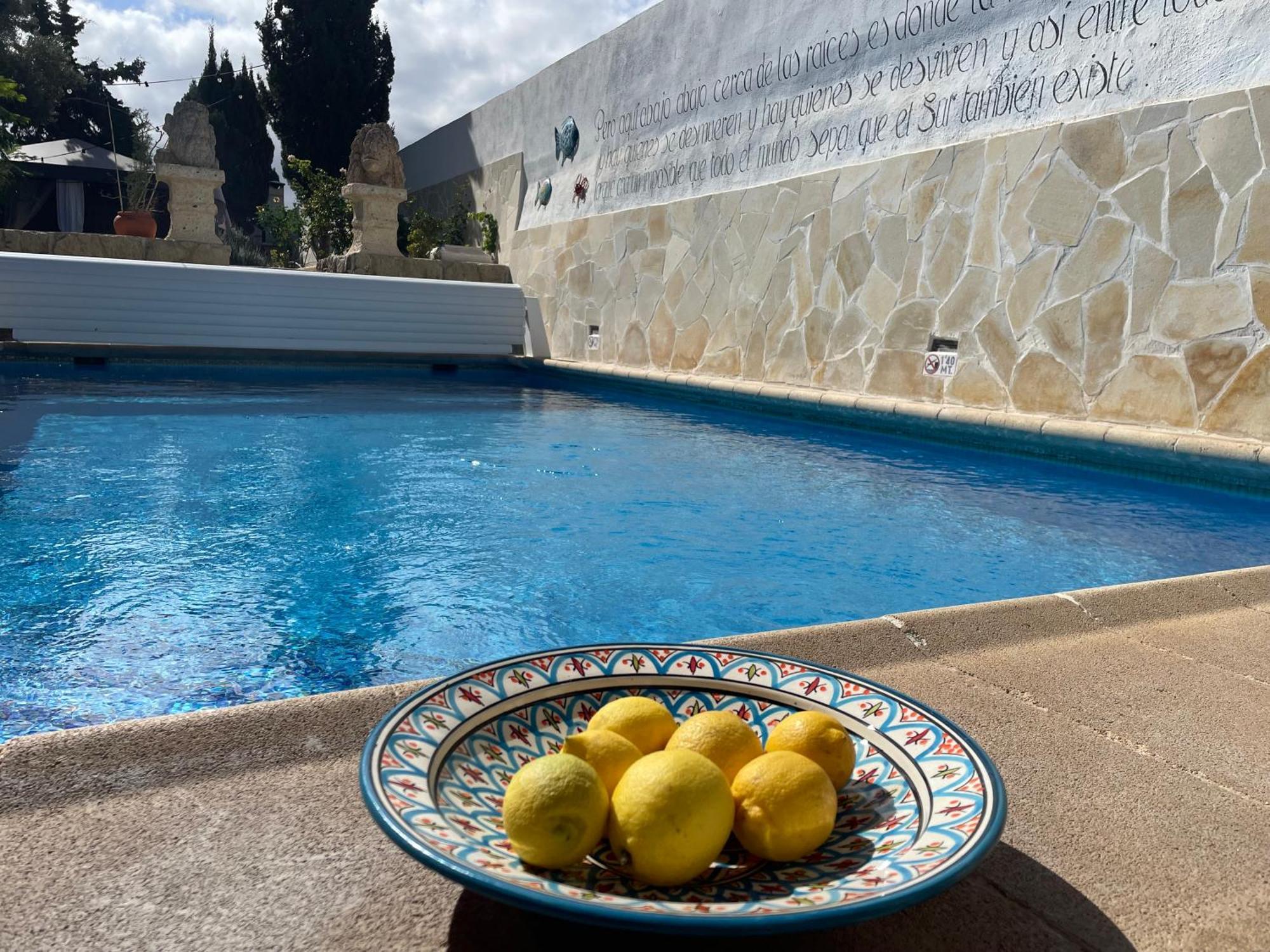 Authentic Canary Style Villa With Private Pool And Garden- Casa Juan Vera グラナディージャ・デ・アボナ エクステリア 写真