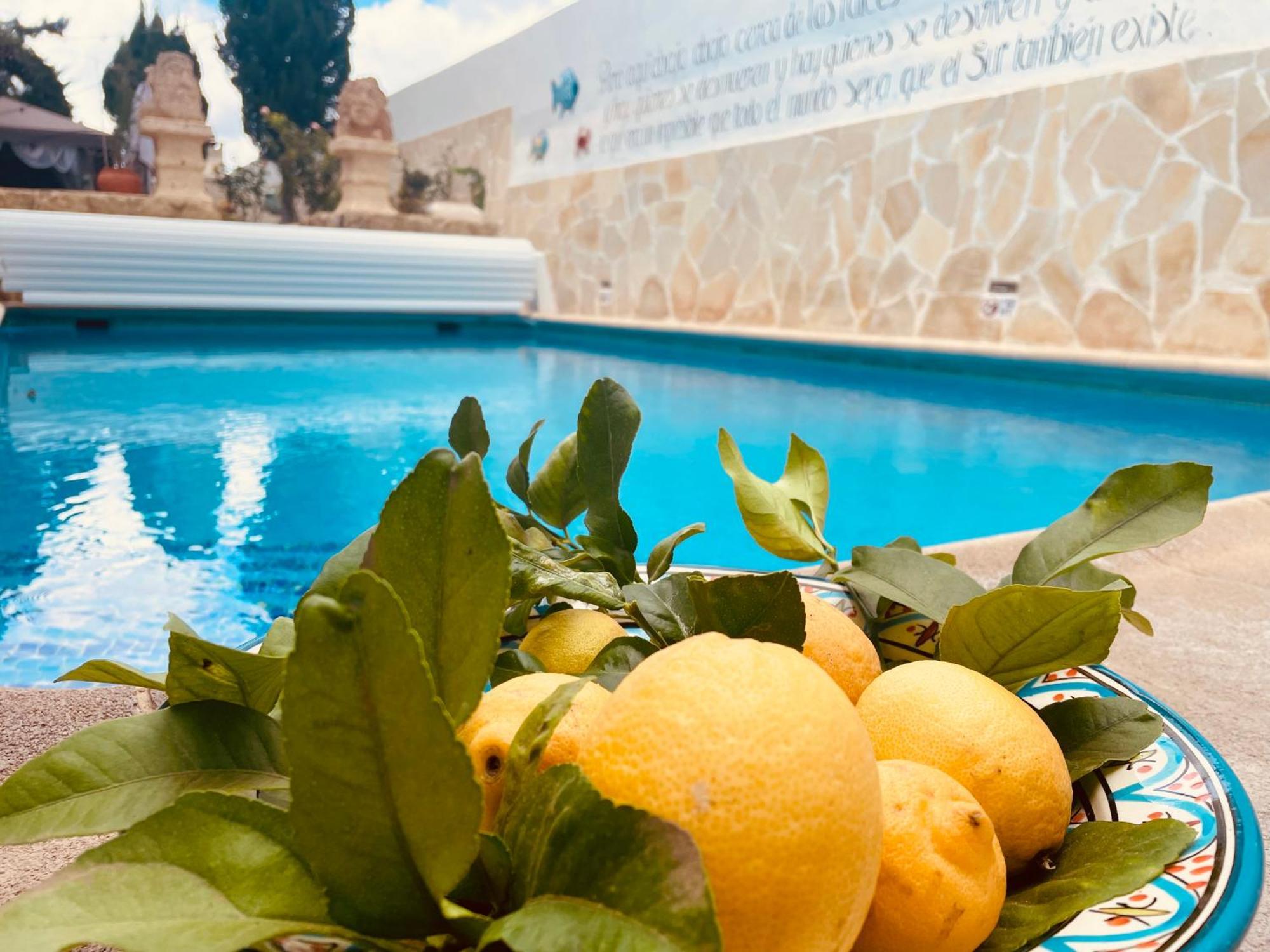 Authentic Canary Style Villa With Private Pool And Garden- Casa Juan Vera グラナディージャ・デ・アボナ エクステリア 写真